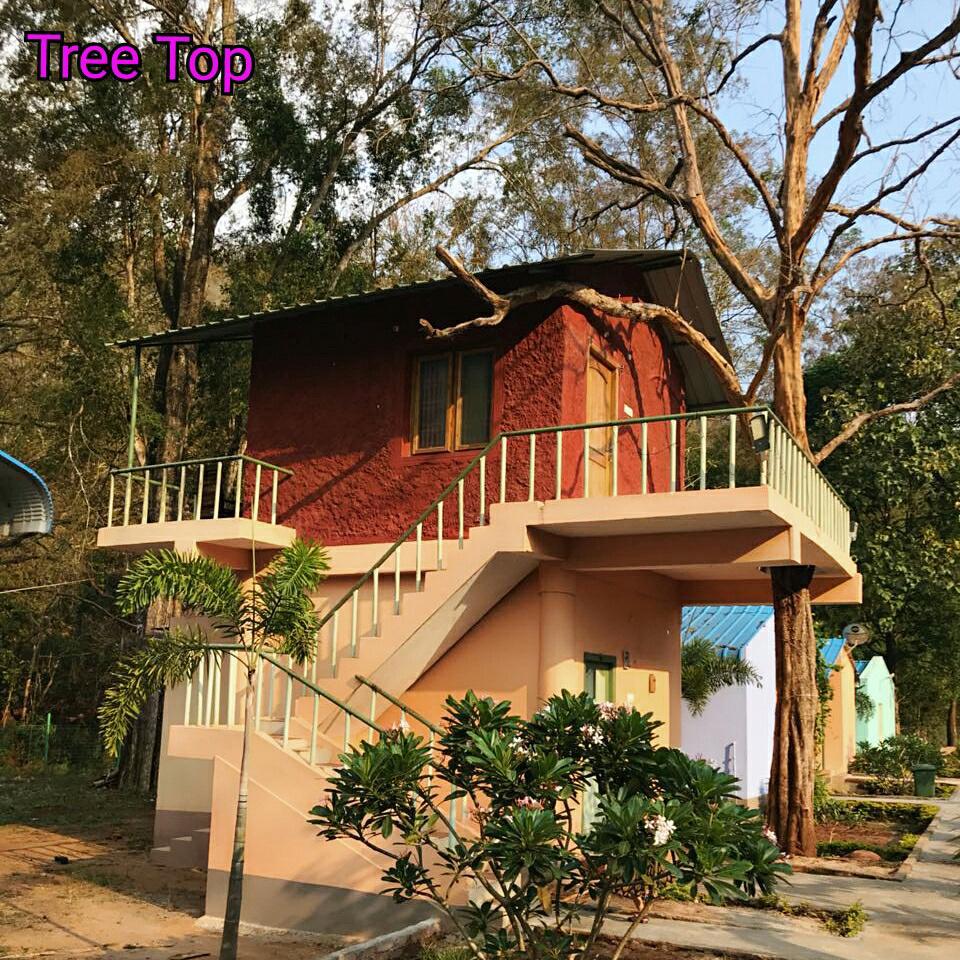 Bird's Nest Resort_image